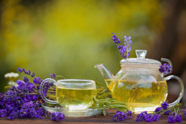 정읍 허브원 라벤더 농원