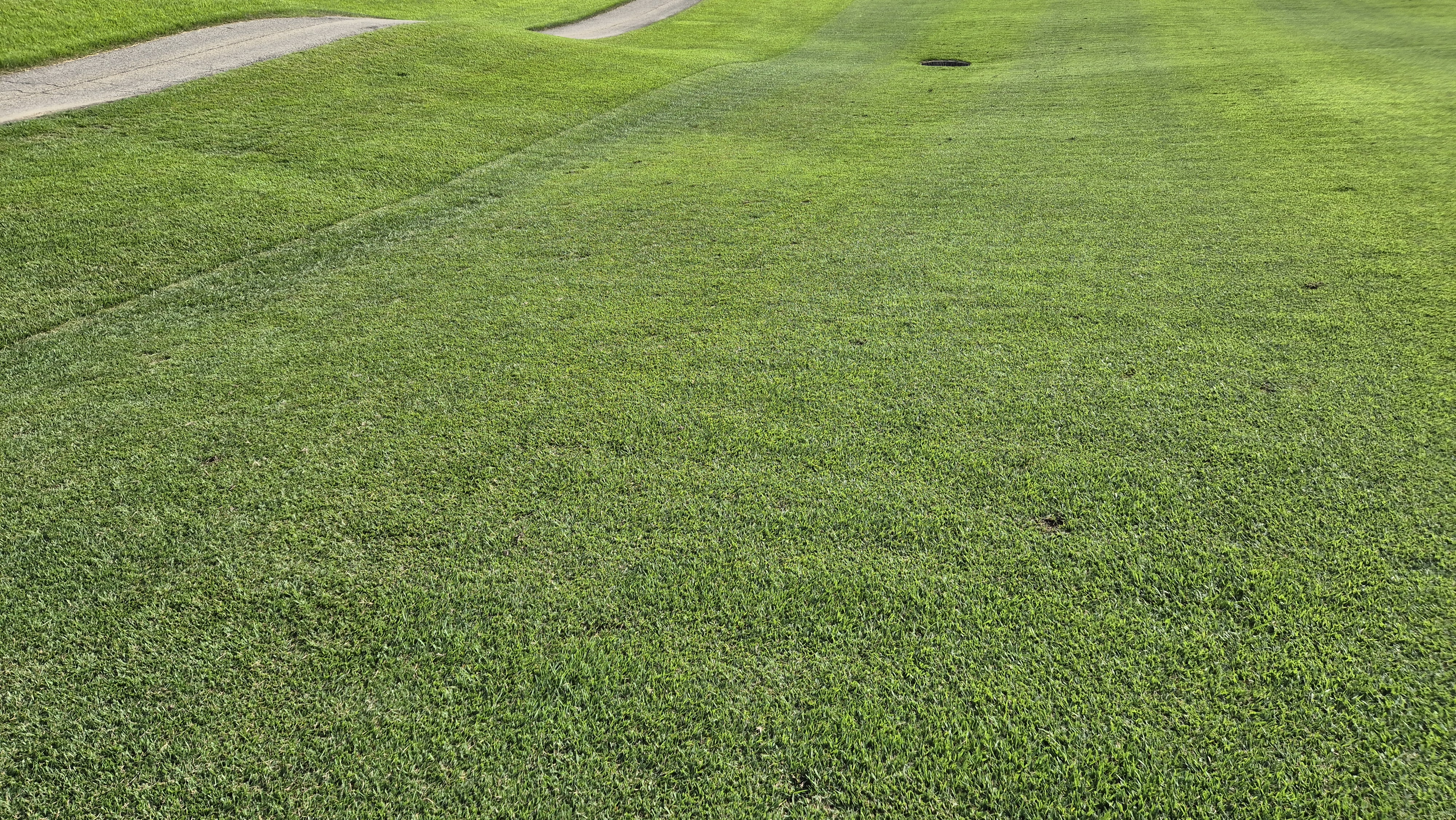 태광cc 북-서 코스 라운드 후기