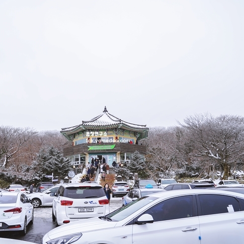 제주 한라산 눈구경