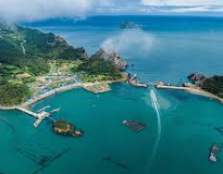 흑산도 홍어 가격