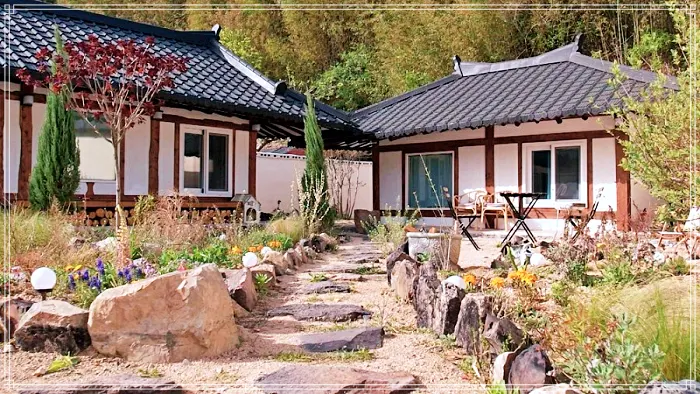 생방송 오늘저녁 70년 된 경주 한옥 폐가를 영국인 남편 리모델링 고쳤다 소개 방송