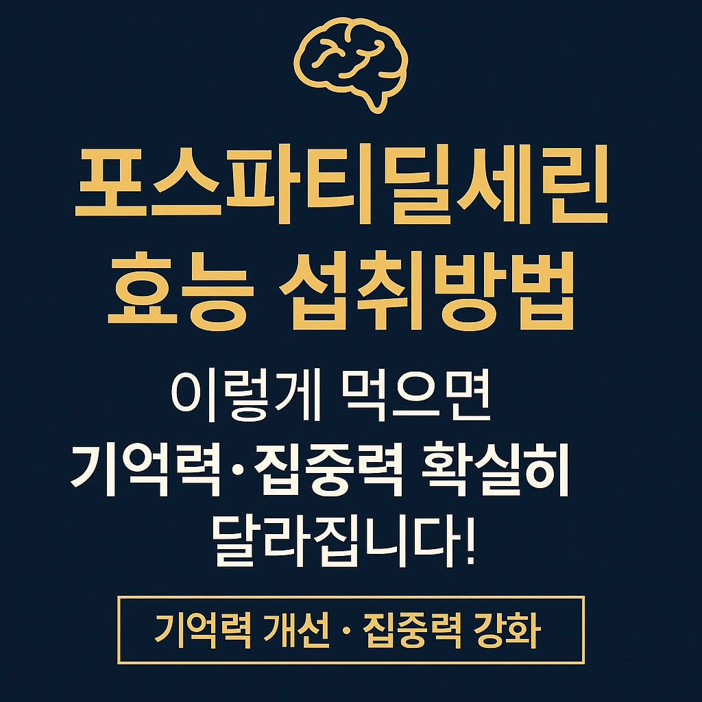 포스파티딜세린 효능과 섭취방법을 한눈에 정리한 건강 가이드