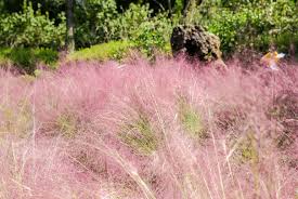 9월 가볼만한 곳 베스트