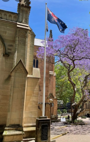 시드니 여행하기좋은시기