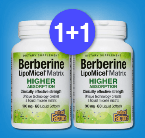 베르베린 추천 순위 TOP 5 (25년 12월) – 네이버·쿠팡 판매 랭킹 1위는?