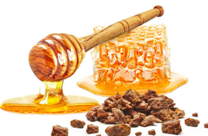 프로폴리스 효능