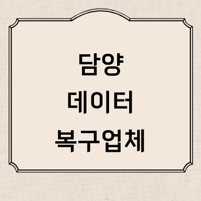 담양군 데이터복구