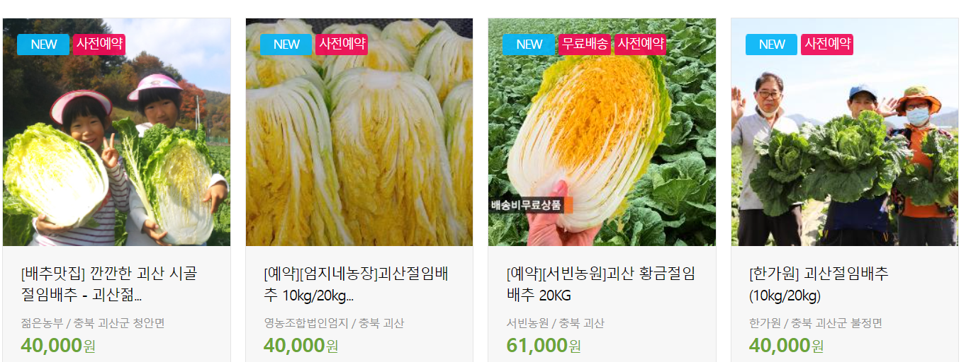 절임배추사전예약