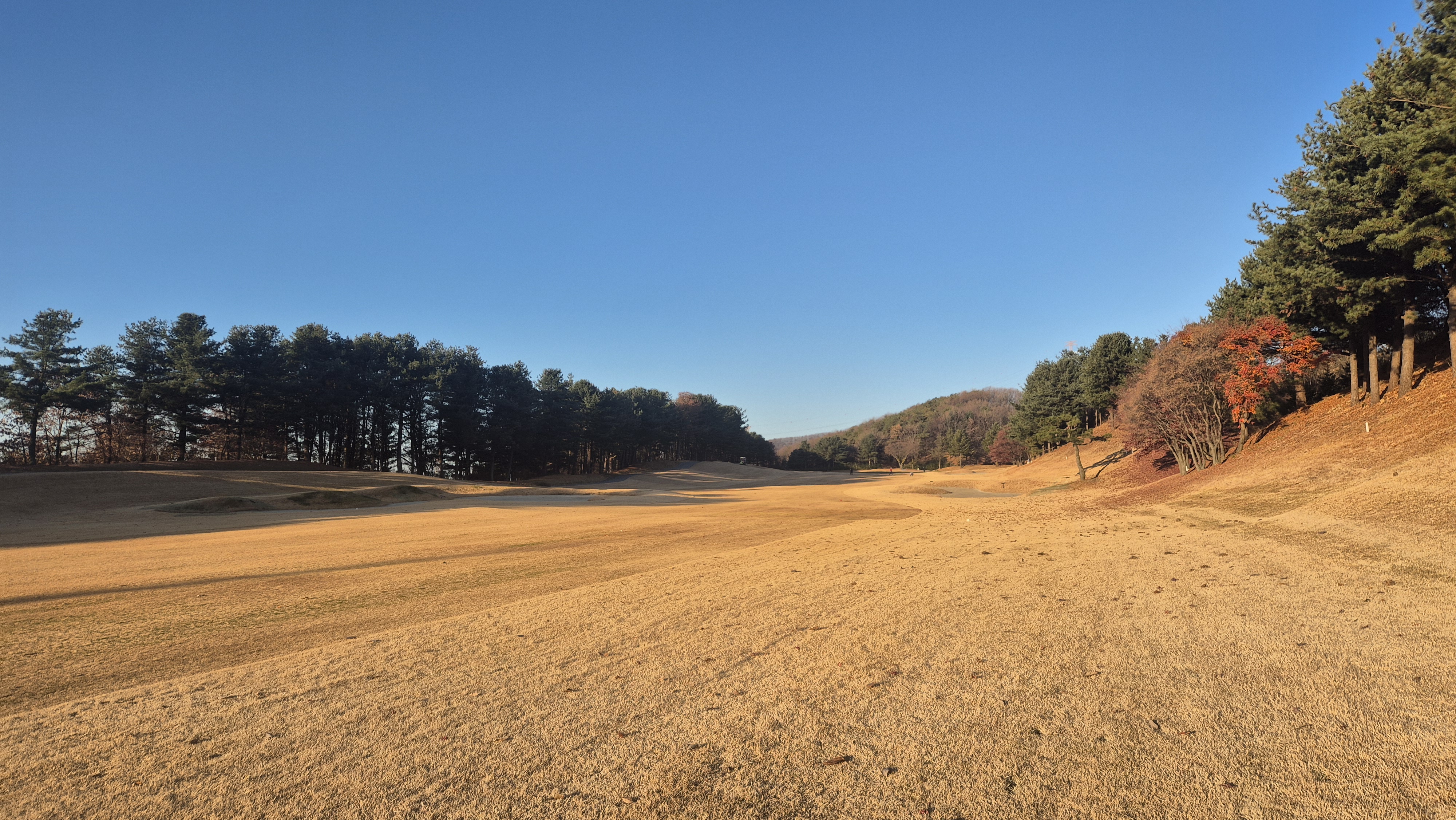 88cc 서코스 라운드 코스난이도