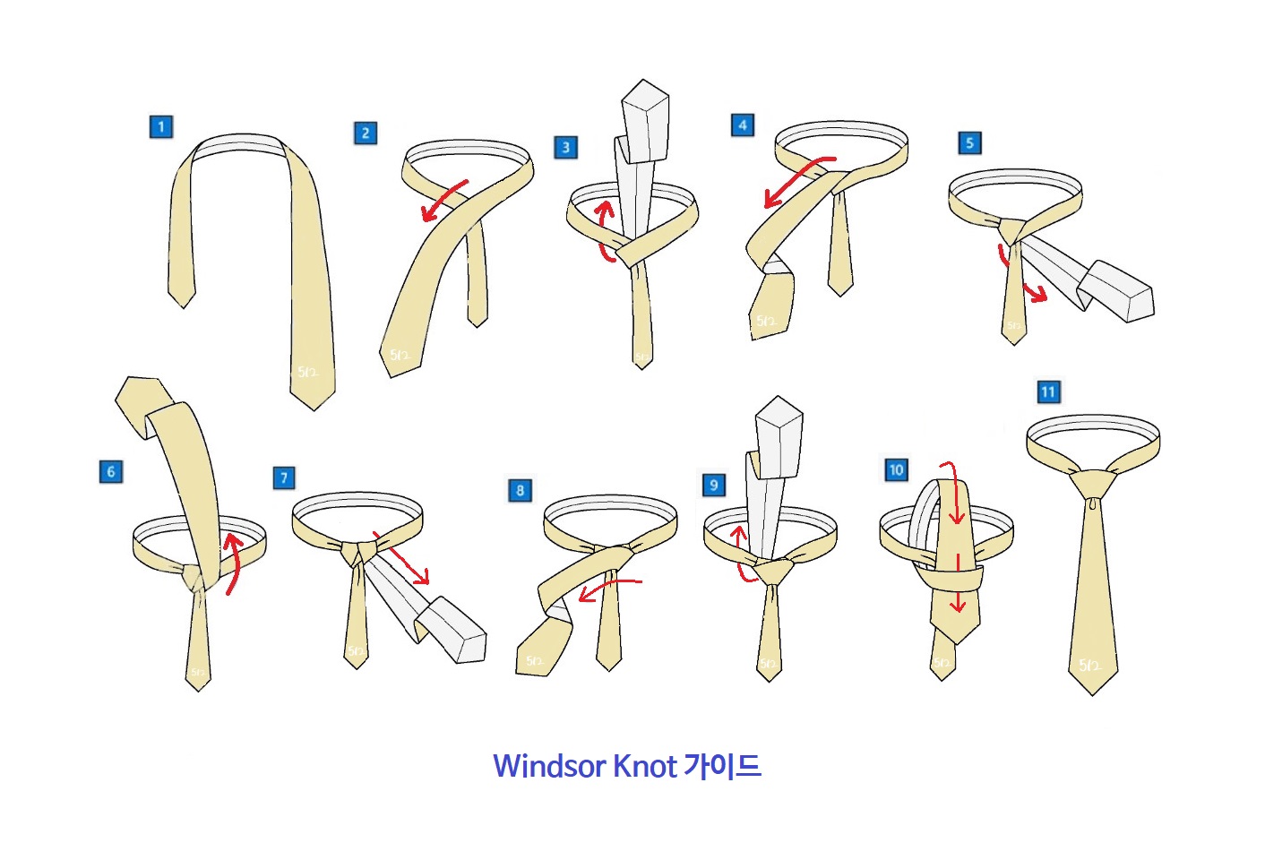 윈저 매듭 (Windsor Knot) 순서