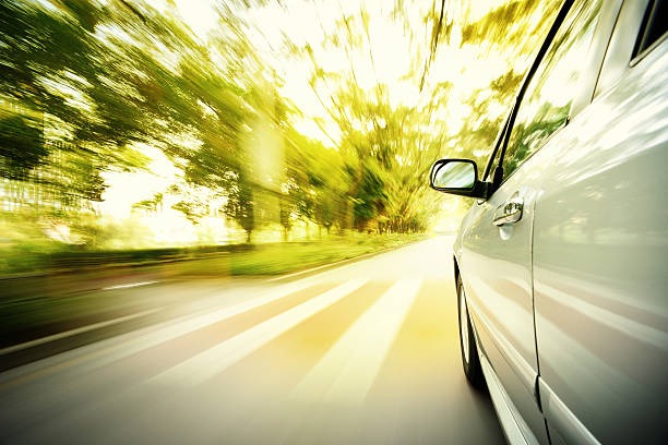 특별사면-운전면허-벌점-삭제