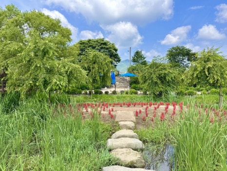 유구색동수국정원 수국축제