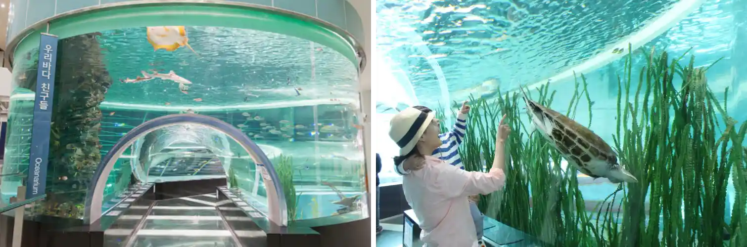 수족관 사진