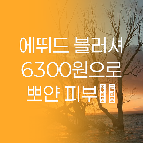 가성비 갑 에뛰드 블러셔! 6,300