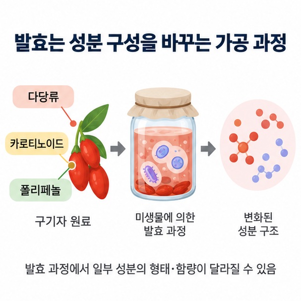 구기자의 다당류, 카로티노이드, 폴리페놀 성분과 발효 과정에서 성분 구성이 달라질 수 있음을 설명한 이미지