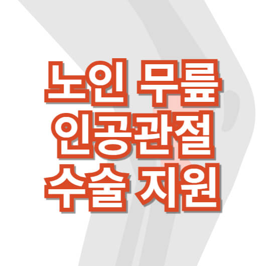 노인-무릎-인공-관절-수술-지원-사업
