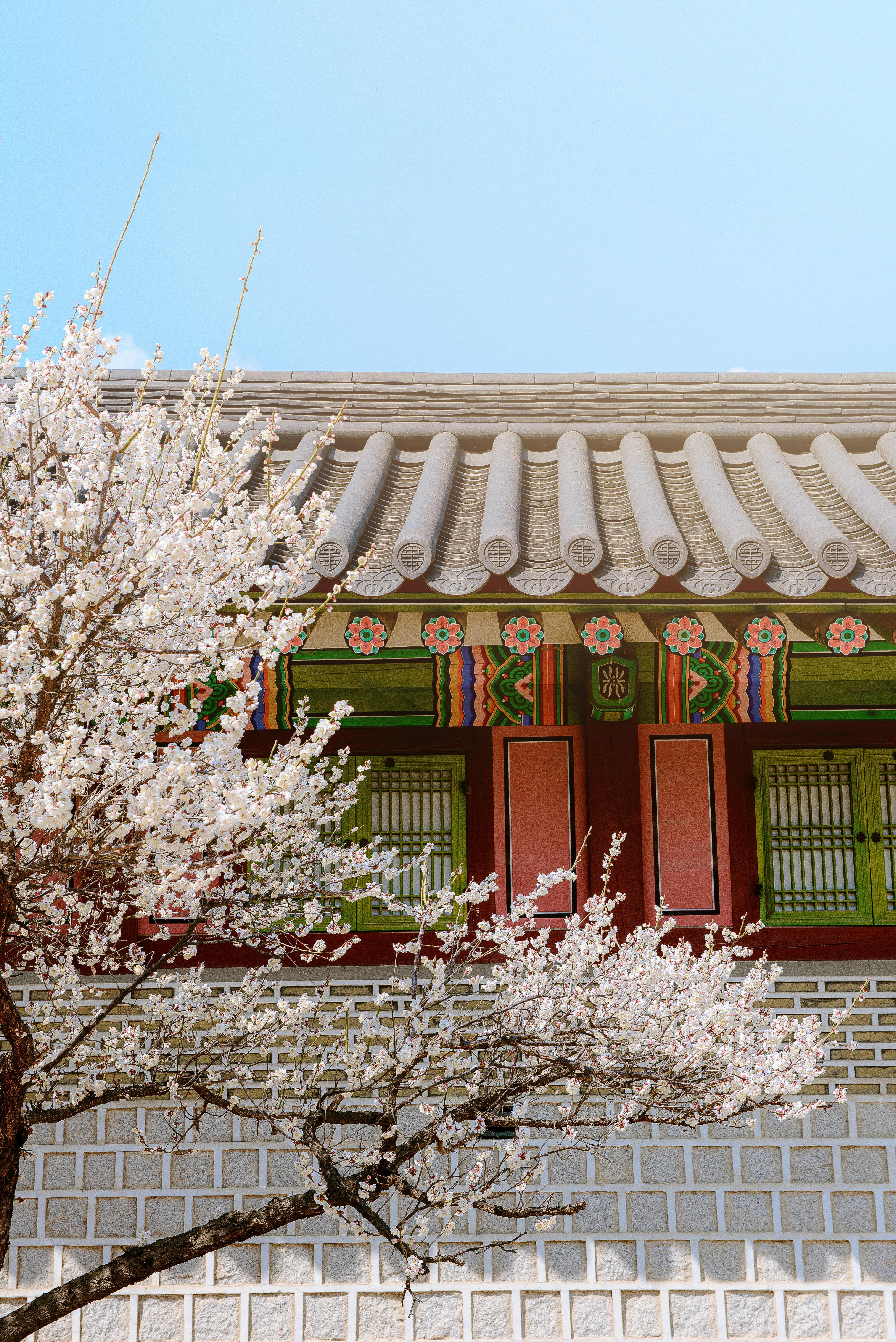 고려시대 음식 재현 프로젝트: 잊혀진 맛의 부활