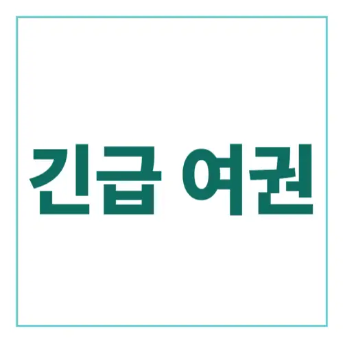 긴급 여권