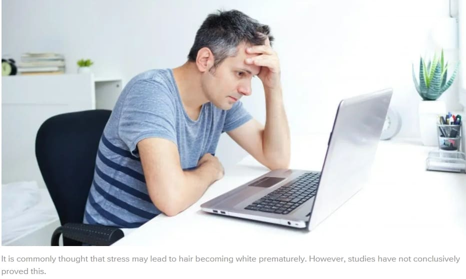 새치(White and gray hair), 뽑지 말고 잘라라 Causes of white hair