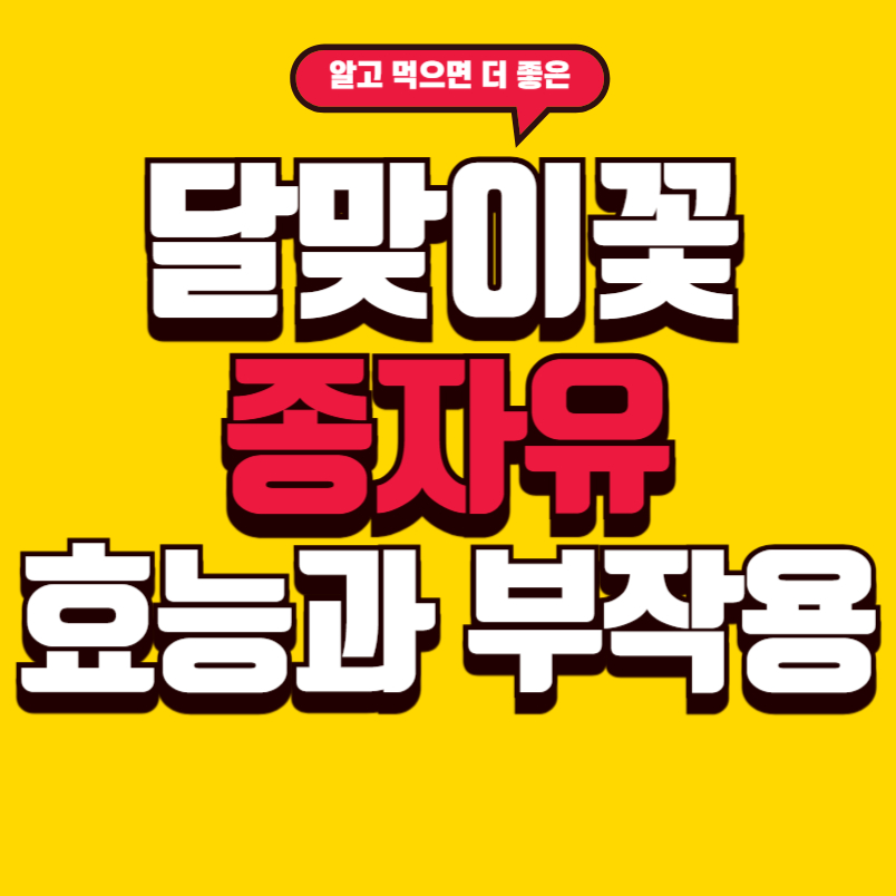 달맞이꽃 종자유 효능과 부작용