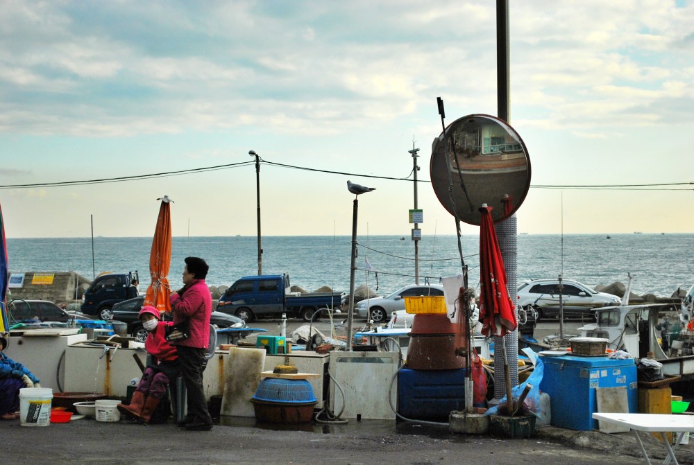 해운대 미포항 풍경