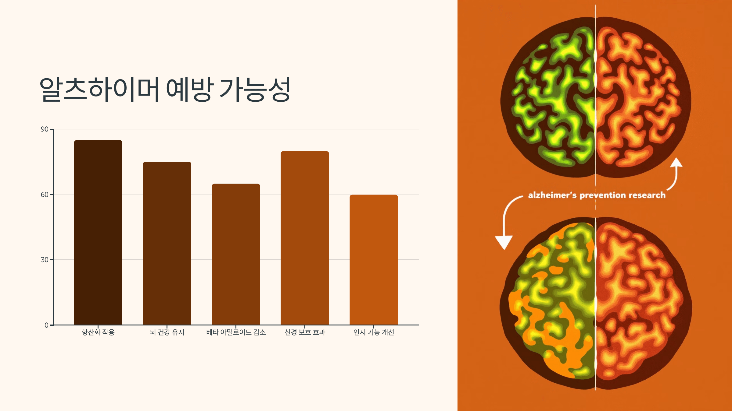 멜라토닌과 관련된 사진입니다.