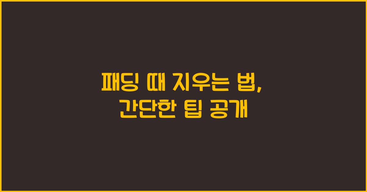 패딩 때 지우는 법