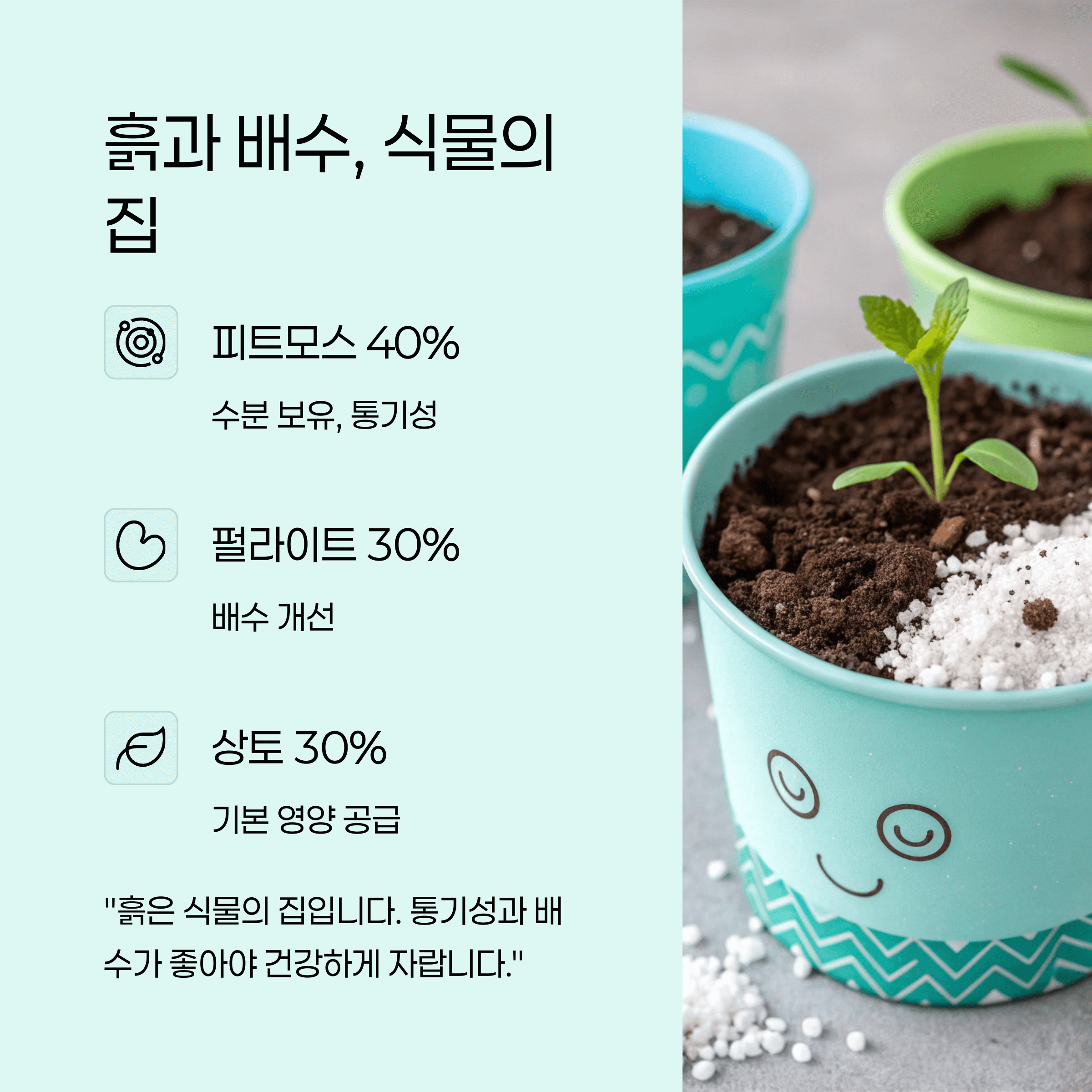 반려식물