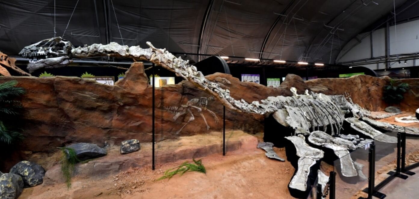 2025 경남 고성 공룡 세계엑스포 !