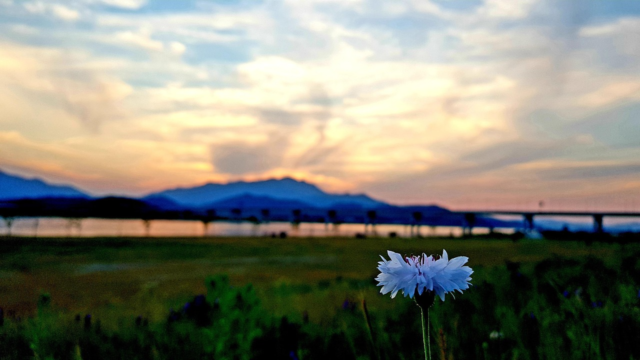 2026년 오산 부동산 정보 관련 사진