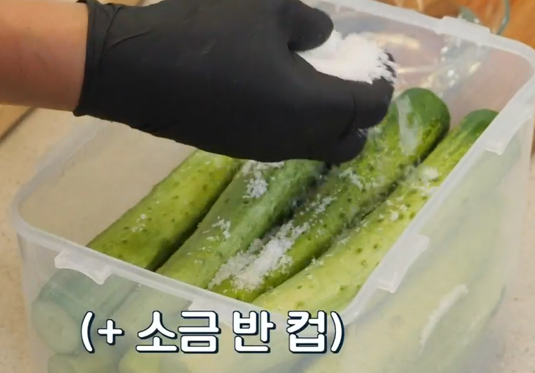 오이지 담그는 방법