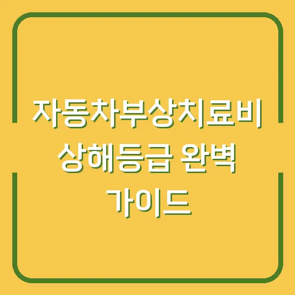 자동차부상치료비 상해등급 완벽 가이드