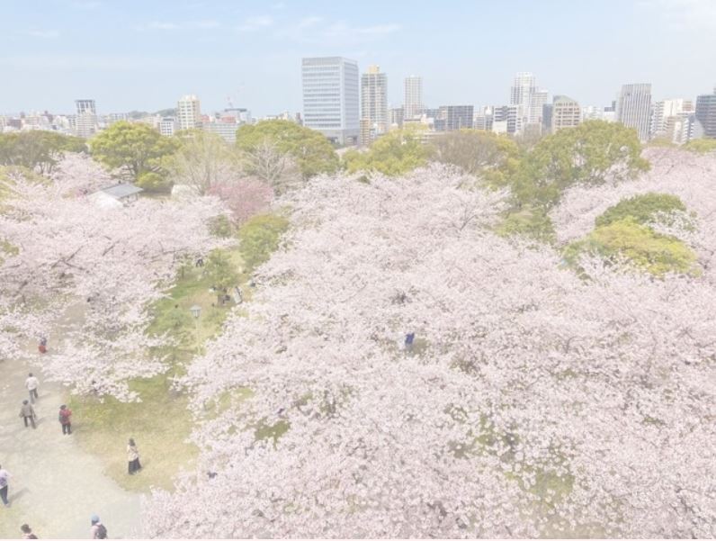 진해 벚꽃축제 벚꽃 여행 코스 추천 명소 진해군항제