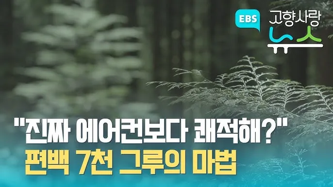 걷기 좋은 명품 숲길 50선 전국 서울 경기_4