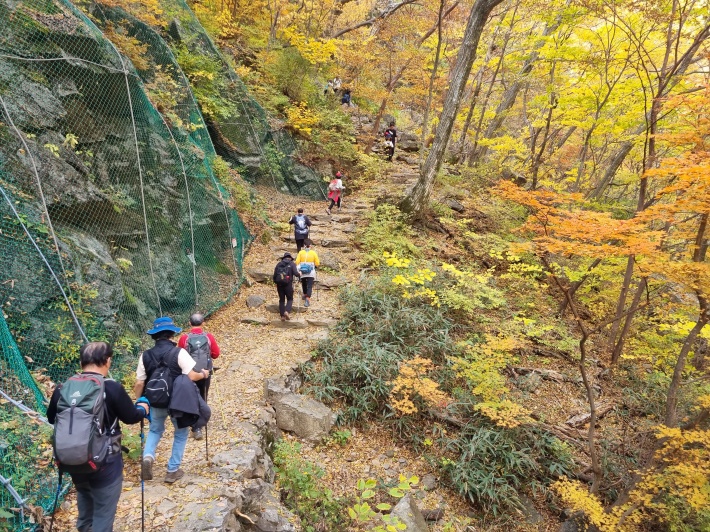 계곡-오름길