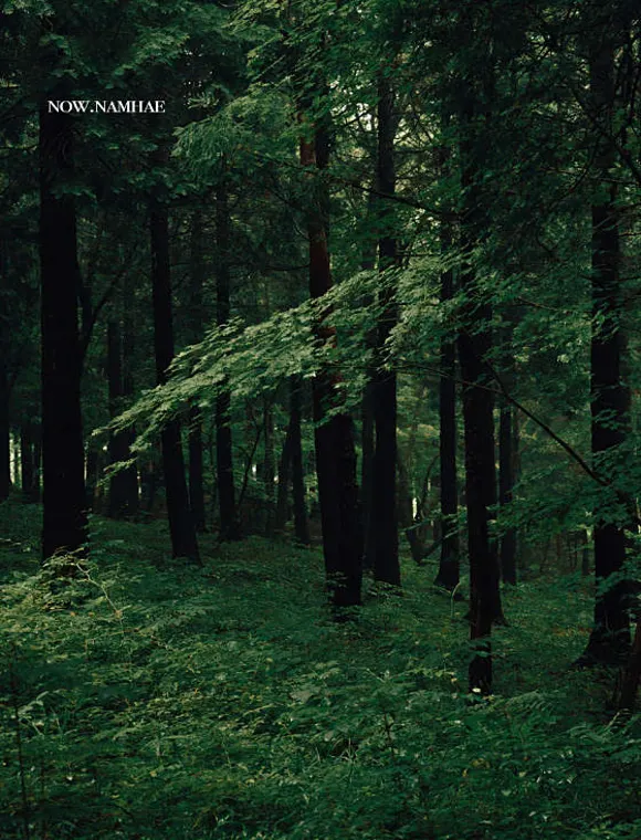 국립남해편백자연휴양림