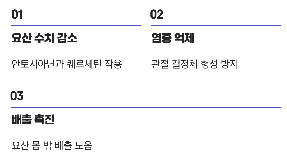2. 바람만 스쳐도 아픈 '통풍', 그 통증을 잠재우다