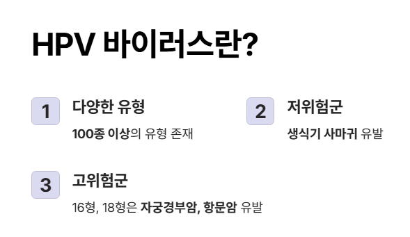 HPV 바이러스란 뜻