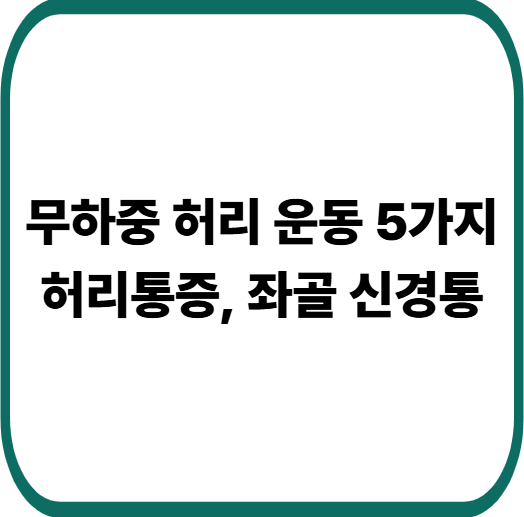 허리 통증 줄이는 무하중 운동 BEST 5