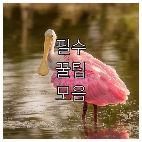 내 차 스마트키 배터리 교체, 전문가