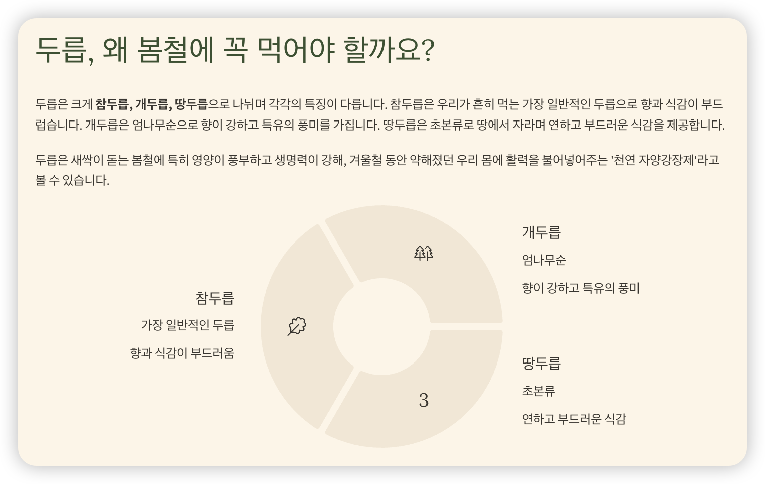 두릅-봄철에-먹는-이유