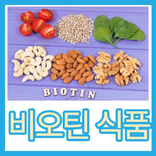 비오틴 효과 여성 탈모 비오틴 부족 시 증상 결핍증 하루 섭취량 권장량 비오틴 식품
