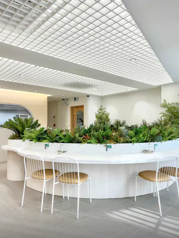 빠레트한남-가로수길점-매장내부