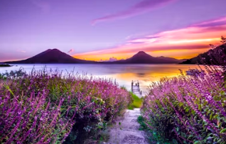 2025국민연금 인상률 2025국민연금 수령액 인상률