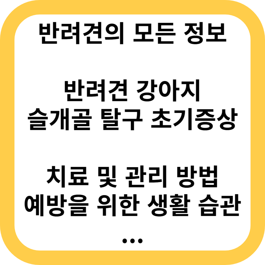 강아지 슬개골 탈구