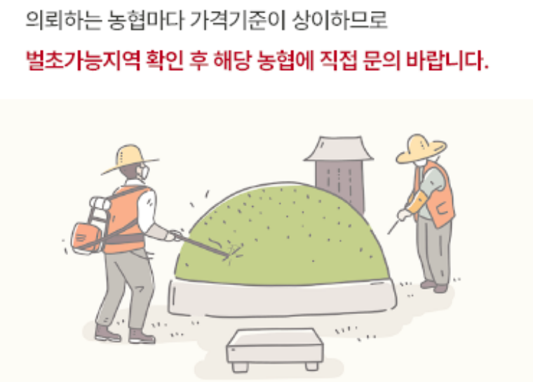 2025년 설날 벌초 업체 서비스