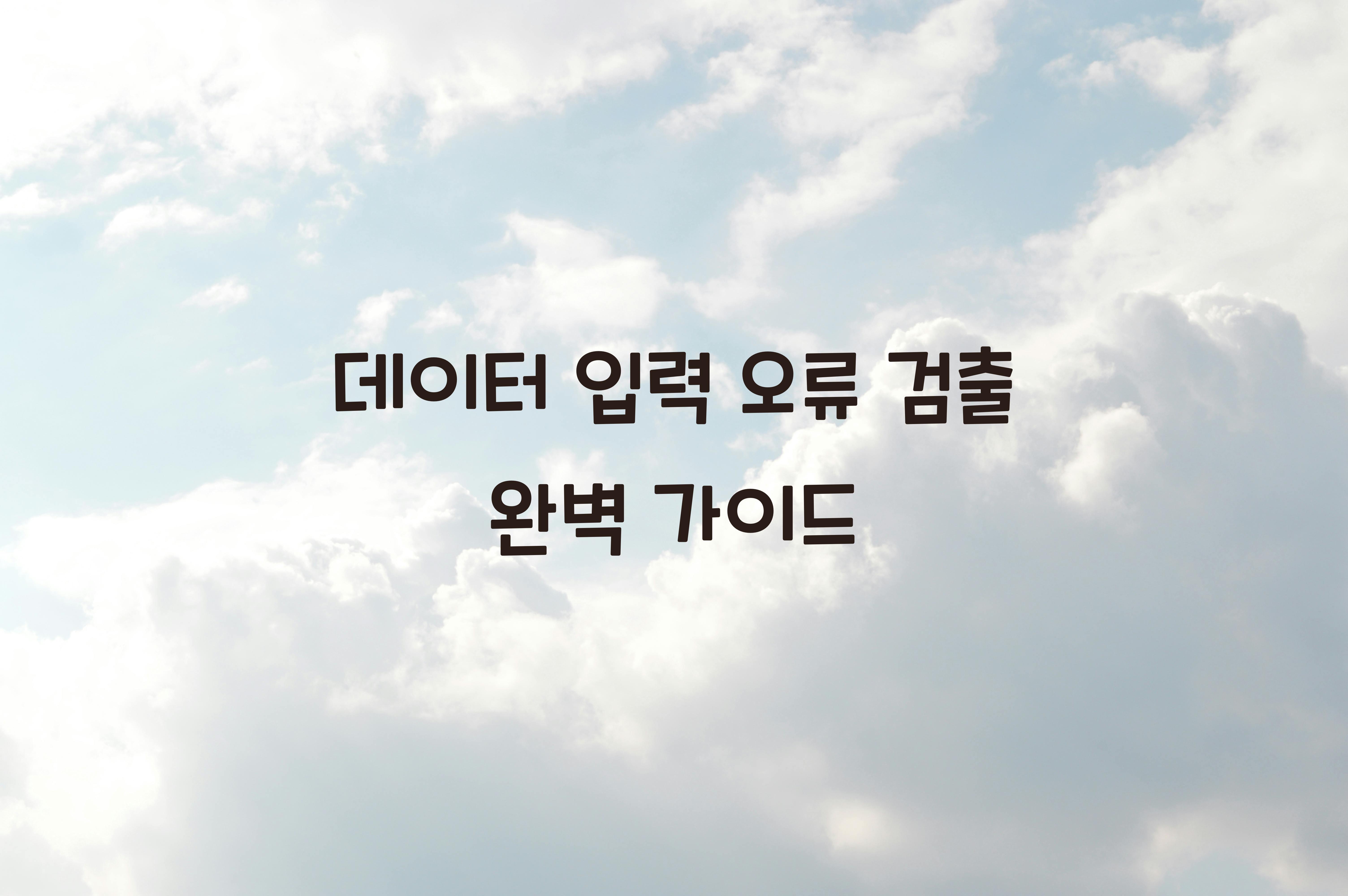 데이터 입력 오류 검출  