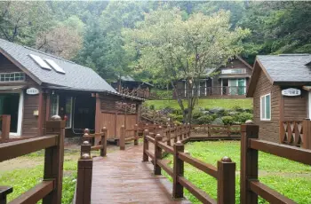 용인 자연휴양림_10