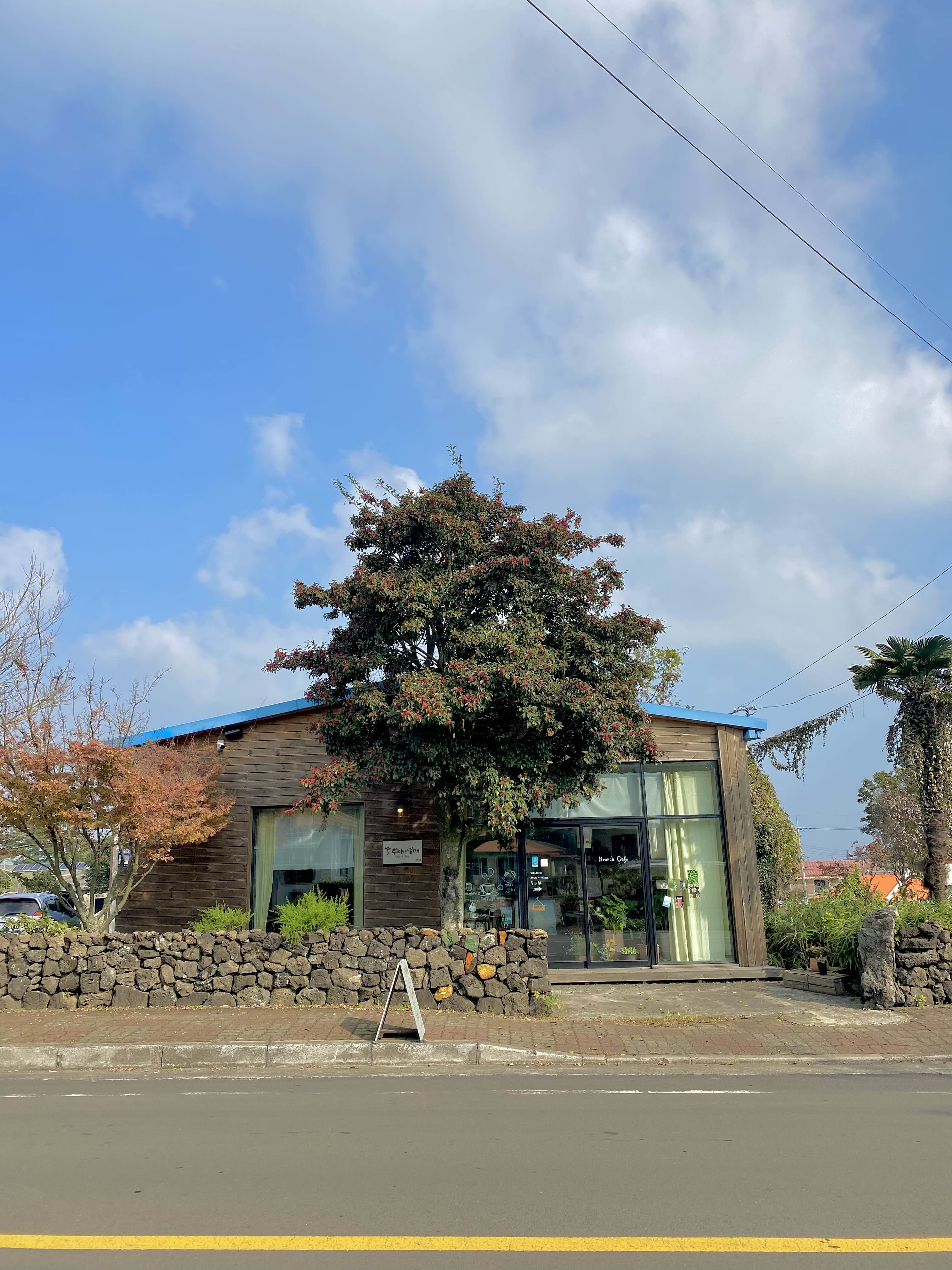 제주 뿌리와 열매