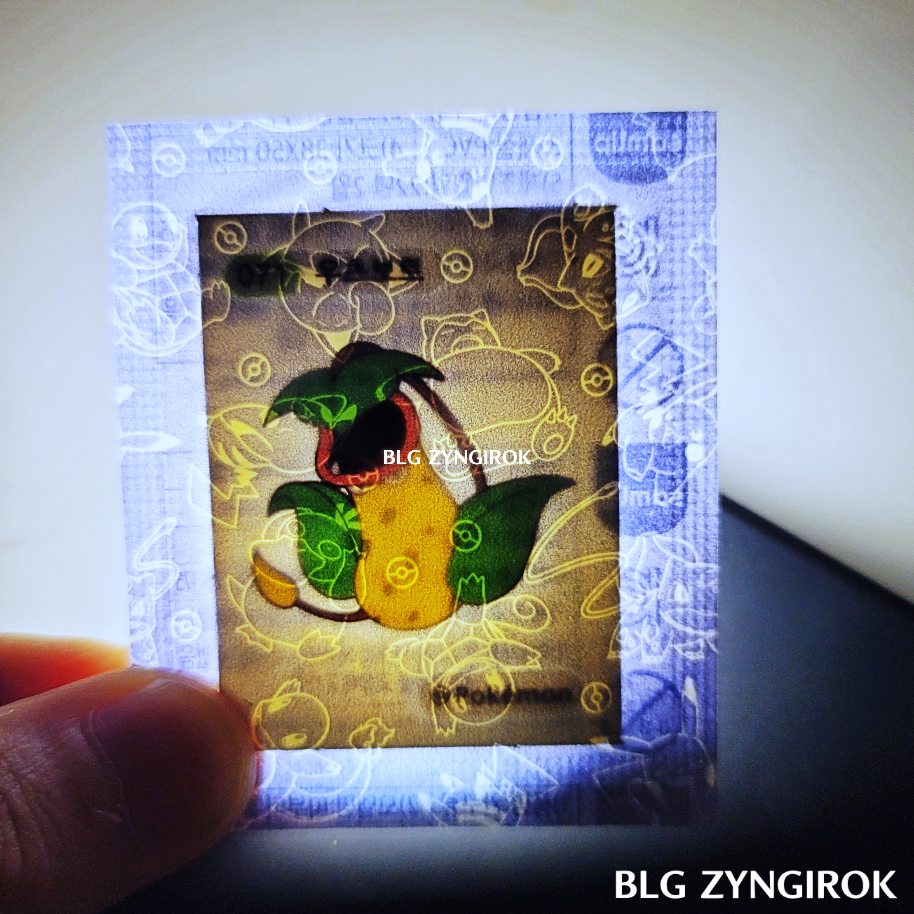 띠부띠부씰-우츠보트를-들고있다.